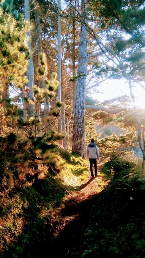 Les Hortensias Grande Tente Familiale Deux Chambres Et Sejour Vue Mer Sur Camping Nature Plestin-les-Grèves Dış mekan fotoğraf